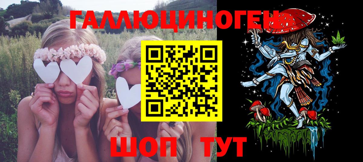 Галлюциногенные грибы Psilocybe Асино