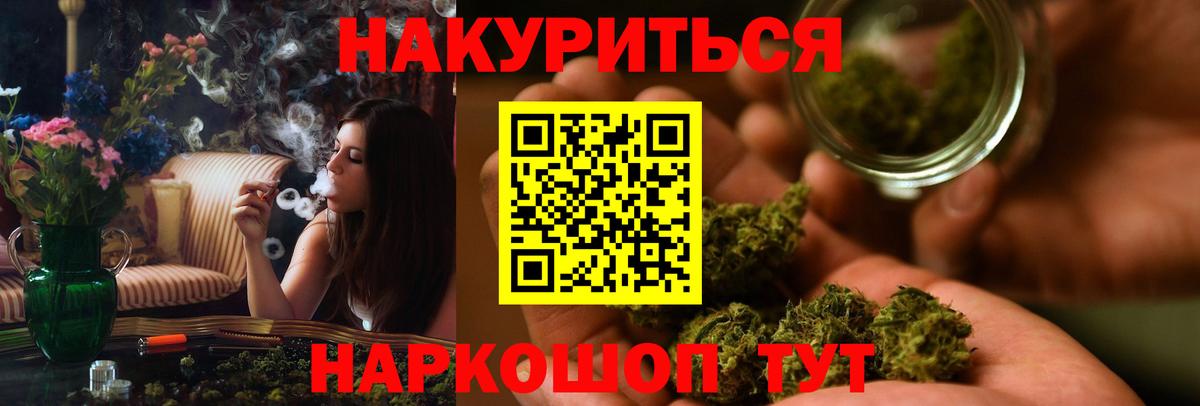 Каннабис сатива Асино